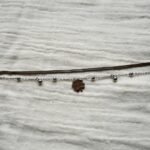 Silver Two Layer Chain Bracelet