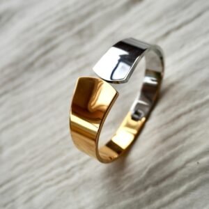 Silver and Gold Kada